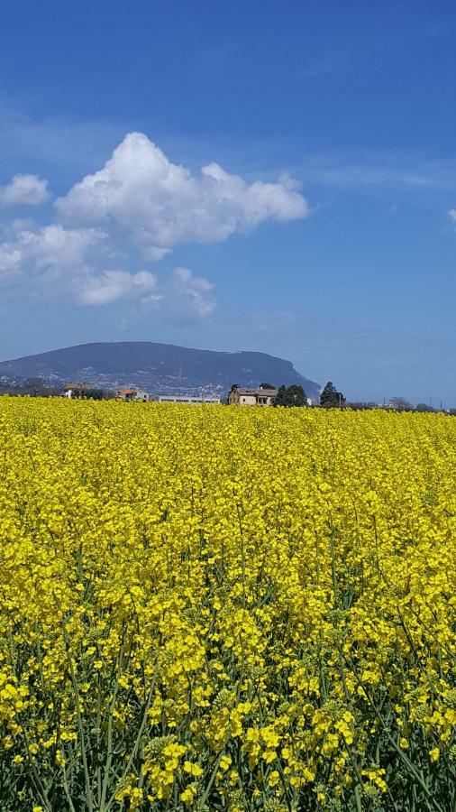 Villetta Del Conero Porto Recanati Bagian luar foto