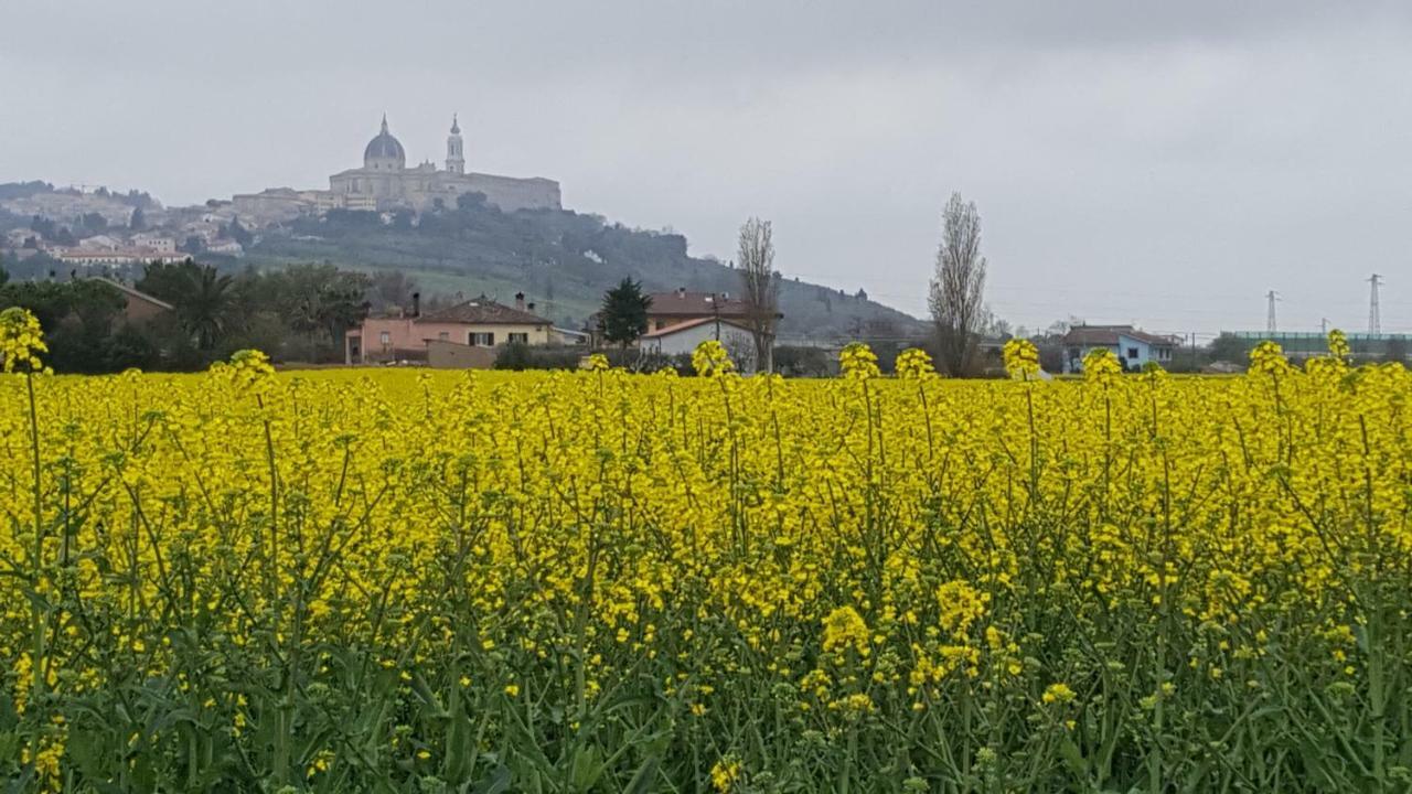 Villetta Del Conero Porto Recanati Bagian luar foto